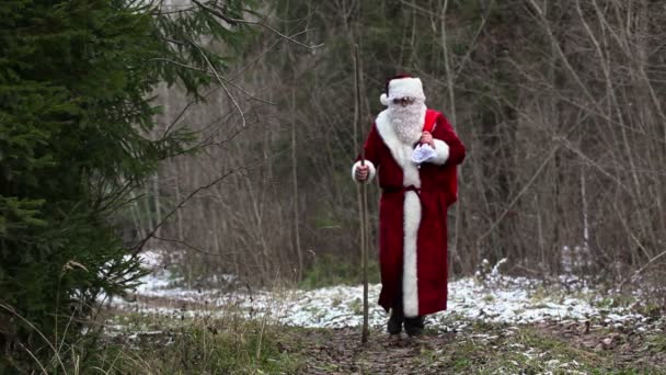 Санта Клаус на дороге в лесу — стоковое видео