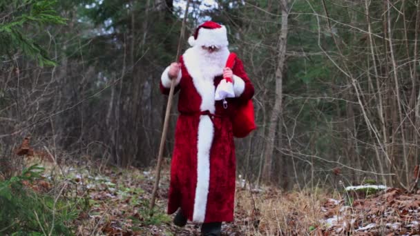 Santa Claus en senderos forestales — Vídeos de Stock