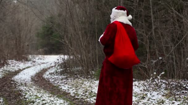 Jultomten kommer på vägen i skogen — Stockvideo