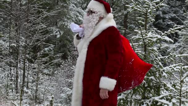 Santa Claus with gift bag in snowy forest — Stock Video