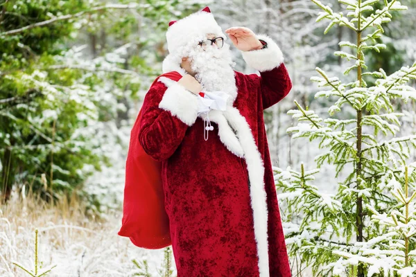 Santa Claus jest oglądanie lasu — Zdjęcie stockowe