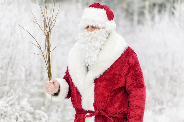 Śnięty Mikołaj w snowy lasu z brzozy — Zdjęcie stockowe