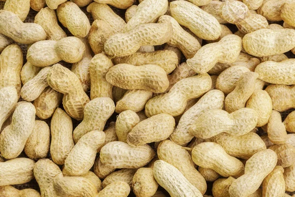 Peanuts in shell in backgrounds