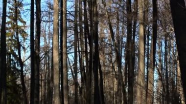 Koltuk değneği açık, Engelli adam