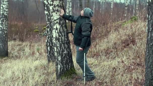 禁用在白桦树的孤独的人 — 图库视频影像