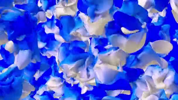 Pezzi astratti volanti nei colori blu e bianco — Video Stock