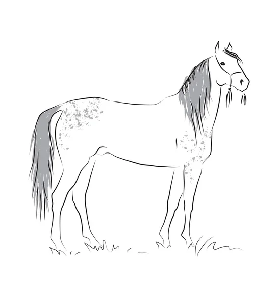 Sketch of silhouette of grey horse — Stock Photo, Image