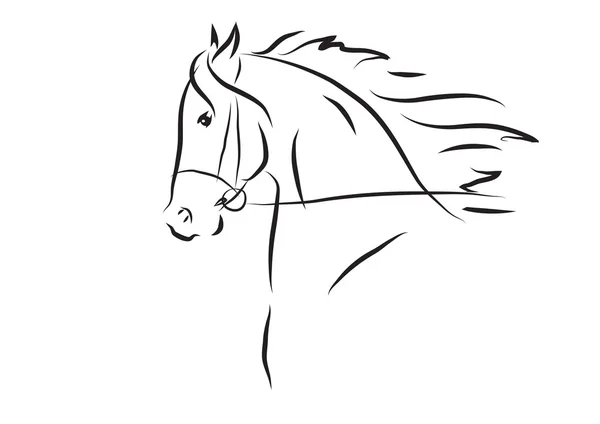 Ilustracja wektora głowy konia — Zdjęcie stockowe