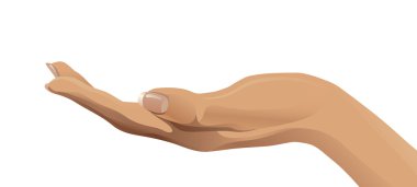 Açık insan eli vektör çizim 