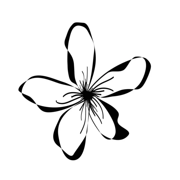 Απλό με ζωγραφισμένο στο χέρι λουλούδι σε στυλ doodle, ένα μελάνι floral στοιχείο για web design, τρυφερό απομονωμένο ανθισμένο περίγραμμα λουλουδιών — Διανυσματικό Αρχείο