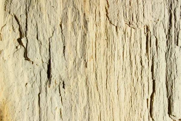 Vue rapprochée de l'écorce ancienne en bois, texture gaufrée de l'arbre brun, motif de fond d'écorce d'arbre naturel, surface rugueuse, impression pour la décoration, conception de couverture, papier peint — Photo