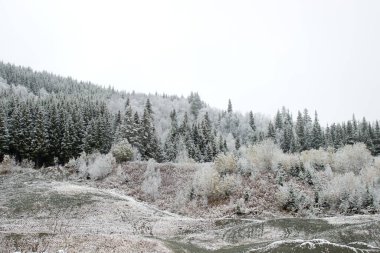 Norveç 'in Hemsedal kayak merkezi Buskerud Norveç yakınlarındaki dağlarda güzel bir kış manzarası, ekimde, posterde, yatay duvar kağıdıyla kaplı ilk kar ormanı, kapak tasarımı, ağ, haber, hava tahmini.
