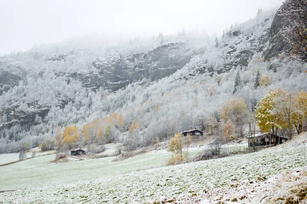 Norveç 'in Hemsedal kayak merkezi Buskerud Norveç yakınlarındaki dağlarda güzel bir kış manzarası, ekimde, posterde, yatay duvar kağıdıyla kaplı ilk kar ormanı, kapak tasarımı, ağ, haber, hava tahmini.