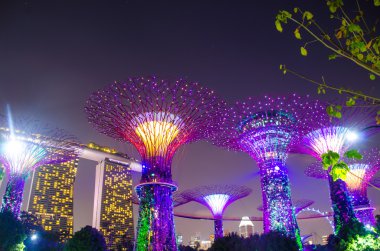 Singapur 'daki Marina Körfezi ve Körfezi kıyısındaki Garden' daki Süper Ağacın Işığı