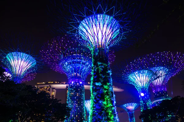 Superbaum für Reisen in Singapore — Stockfoto