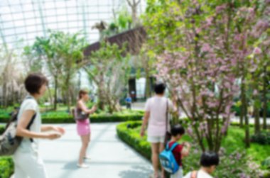 Dome insanlarla doğal