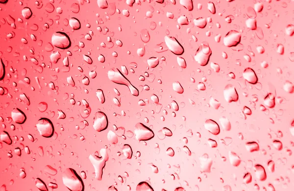 Abstract Red Color Background Drop Water — Stock Photo, Image