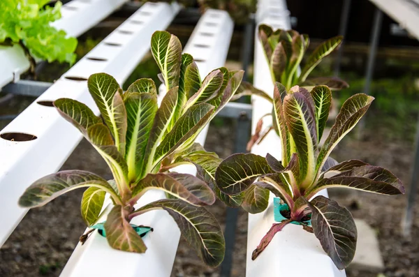 Planta hidrogénica — Foto de Stock