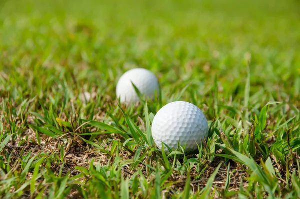 Παλιά μπάλα του γκολφ σε πράσινο — Φωτογραφία Αρχείου