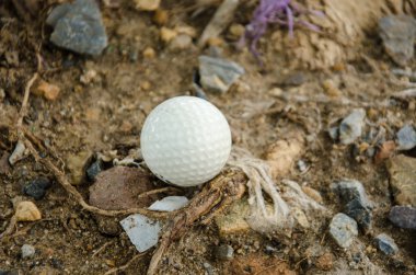 beyaz golf topu