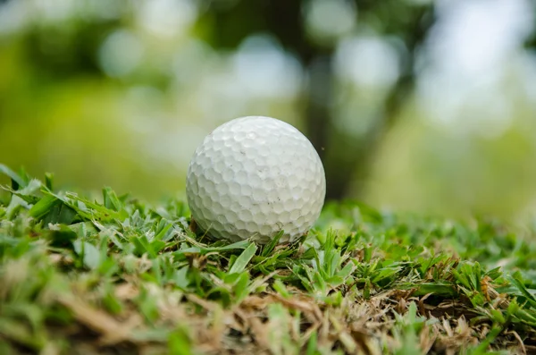 Bílý golfový míček — Stock fotografie