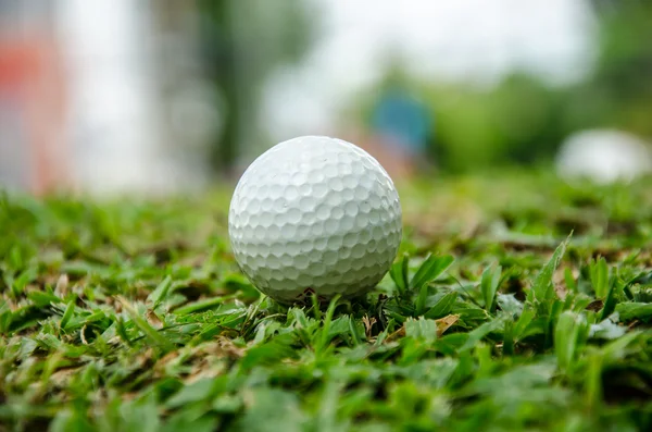 Белый мяч для гольфа — стоковое фото