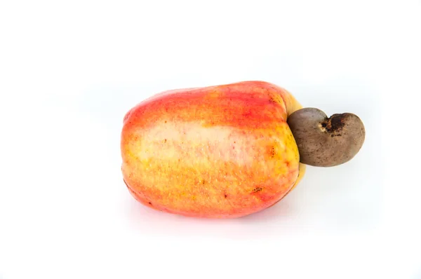 Cashewnuss — Stockfoto