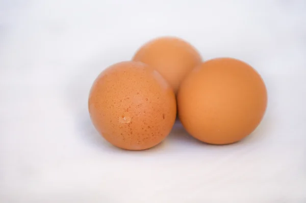 Uovo di pollo marrone — Foto Stock