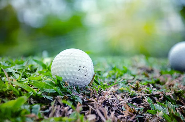 Bílý golfový míček — Stock fotografie