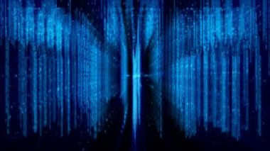 Dijital bilgisayar kodu veri matrisi