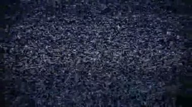 TV statik gürültü (Hd Loop)