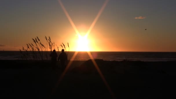 Ζευγάρι περπατά στην παραλία το ηλιοβασίλεμα — Αρχείο Βίντεο