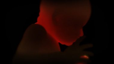 Rahimde Doğmamış Bebek