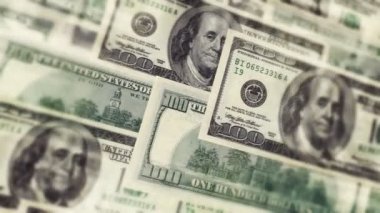 Yüz dolar faturaları tarafından sinek