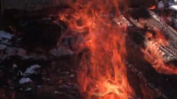 火燃烧木材篝火 (高清循环) — 图库视频影像