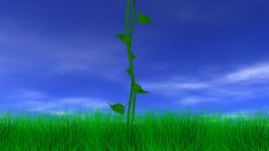 Jack ve beanstalk