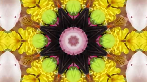 Colorful Flowers Kaleidoscope — Stock Video