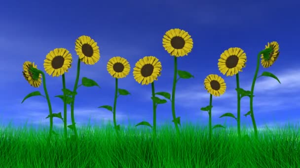 Tournesols dans les champs