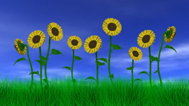 Tournesols dans les champs — Video