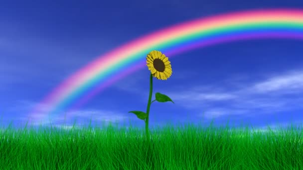 Fiore sotto un arcobaleno — Video Stock