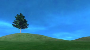 Tepedeki Ağaç, Bulutlar Yuvarlanarak (Hd)