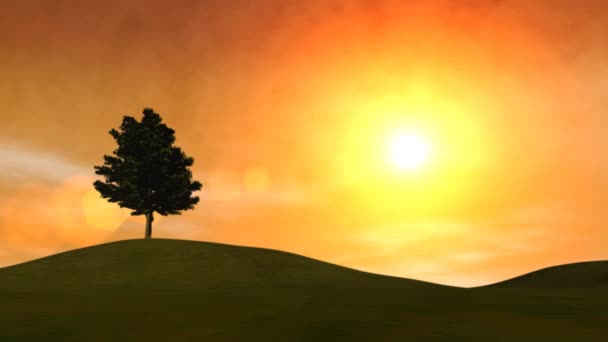 Осінь дерево & захід сонця (HD петля) — стокове відео