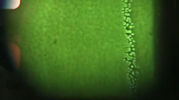 Film Grunge, sıcak yanıp söner ve ışık sızıntıları projektör — Stok video
