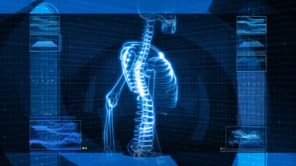 Raggi X della colonna vertebrale umana (HD ) — Video Stock