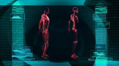 İnsan vücudunun (Hd dijital X-Ray tarama)