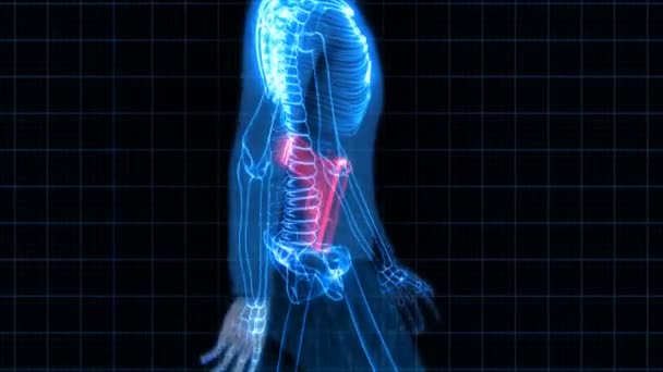 เครื่องสแกนเนอร์ X-Ray ความปลอดภัย - คนที่มีปืน — วีดีโอสต็อก