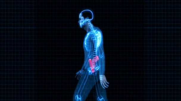 Security X-Ray Scanner - Man with Gun — Stock Video