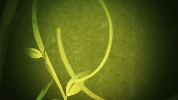 Vines & Leaves Growing (Grunge Flourish) — Stock Video