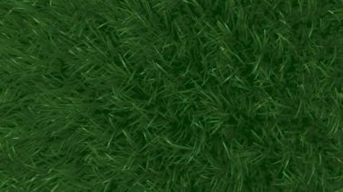 rüzgarda sallanan çimen