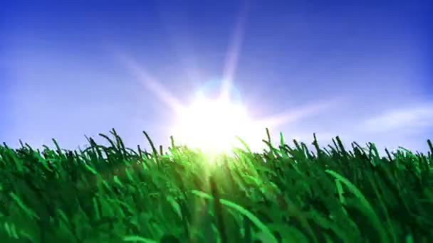 Pole západu slunce v zelené trávě